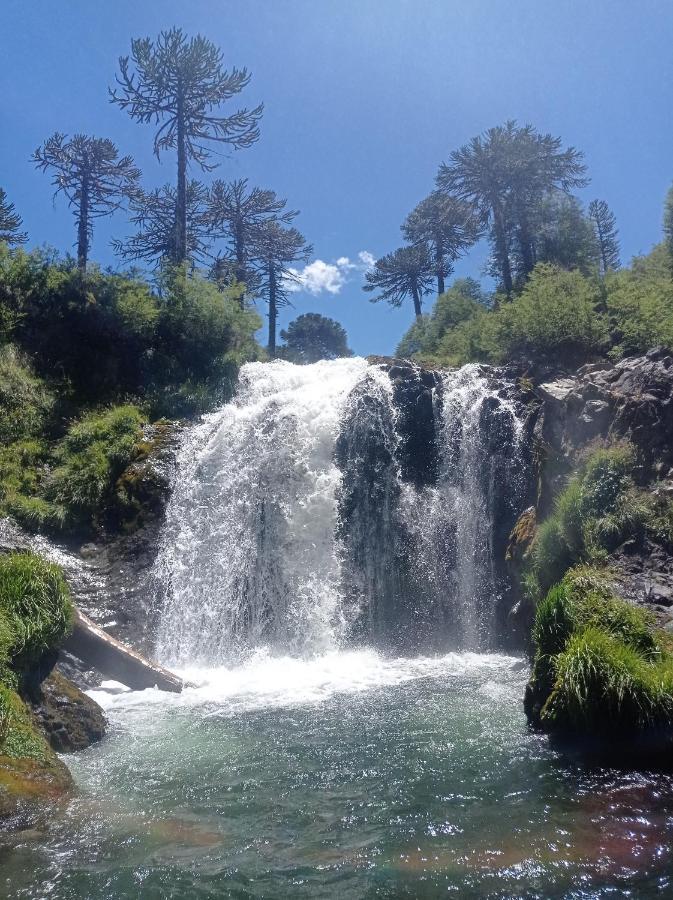 Apartmán Cabana Kineco Y Tinaja Melipeuco Exteriér fotografie